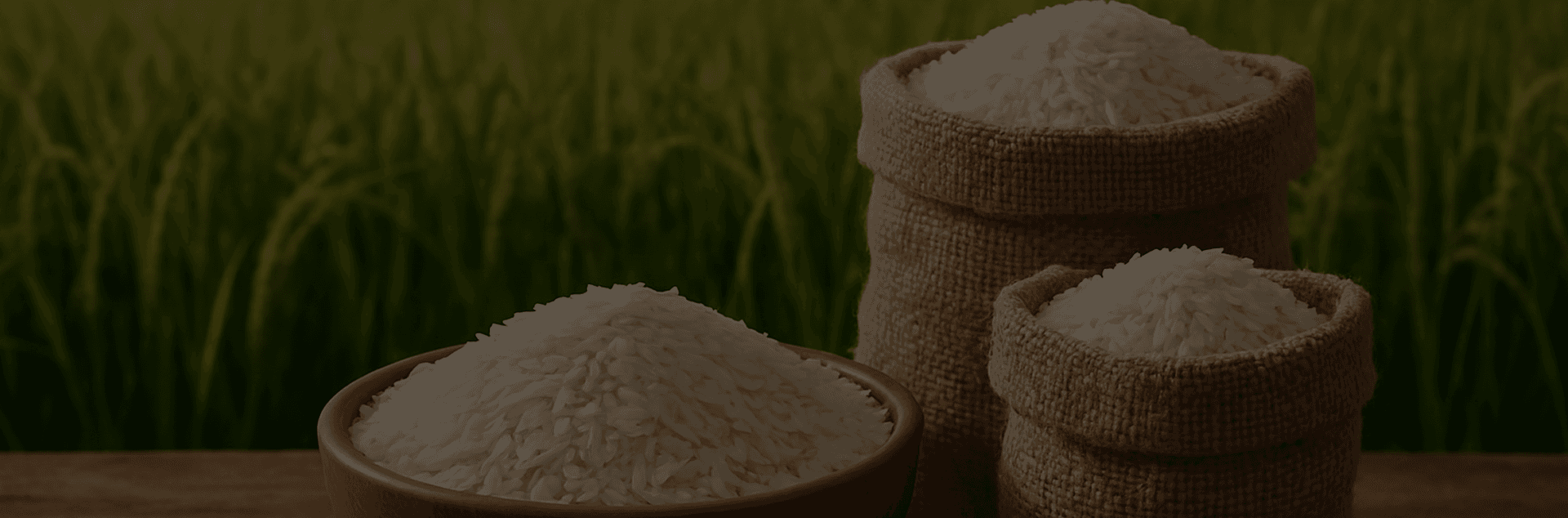 Rice of Bengal